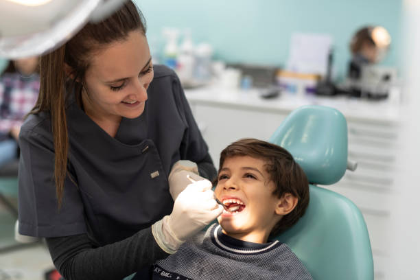 Best Emergency Dental Care for Broken or Chipped Teeth in Lindstrom, MN